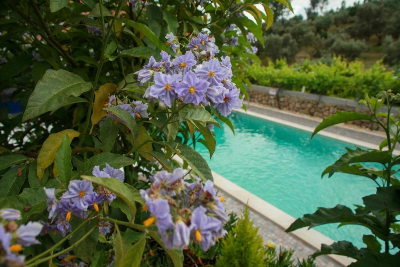 Maison d'hôtes Quinta Ribeiro Tanquinhos à Tancos Extérieur photo