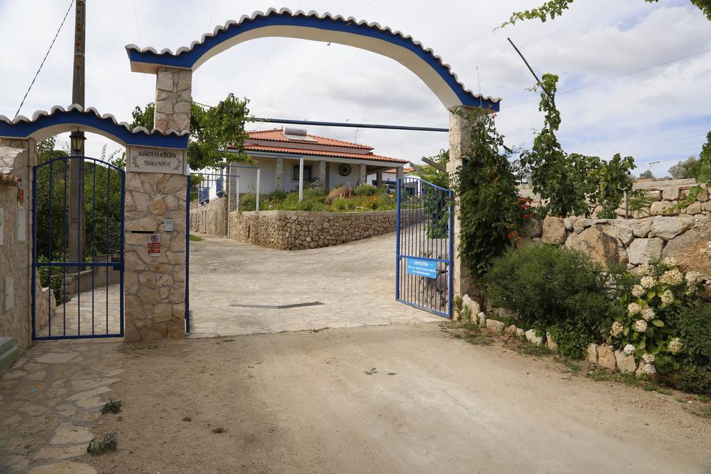 Maison d'hôtes Quinta Ribeiro Tanquinhos à Tancos Extérieur photo