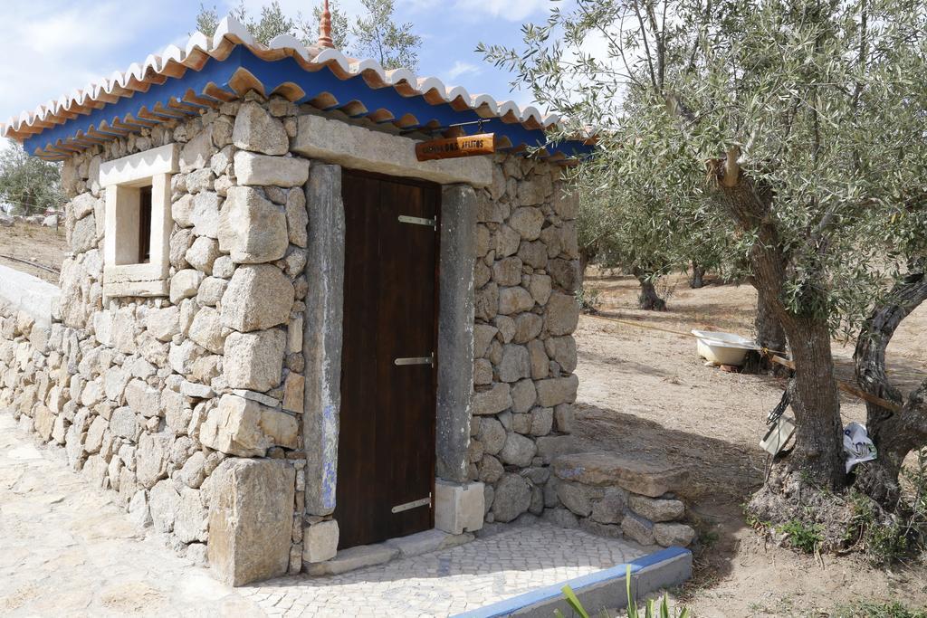 Maison d'hôtes Quinta Ribeiro Tanquinhos à Tancos Extérieur photo