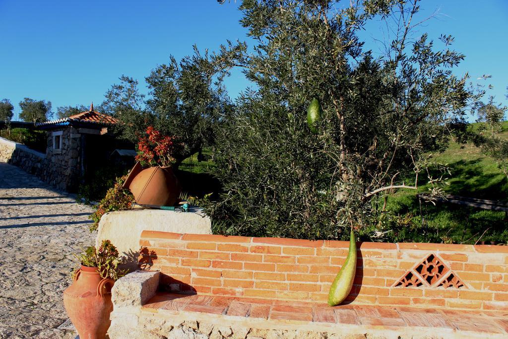 Maison d'hôtes Quinta Ribeiro Tanquinhos à Tancos Extérieur photo