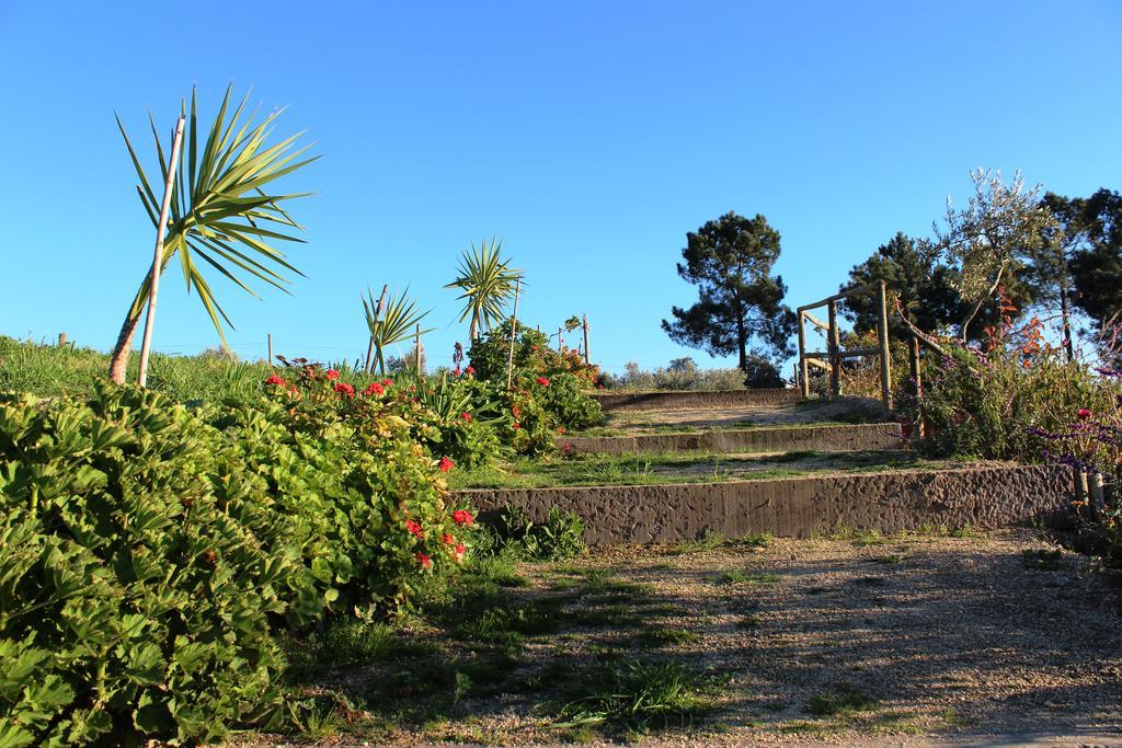 Maison d'hôtes Quinta Ribeiro Tanquinhos à Tancos Extérieur photo