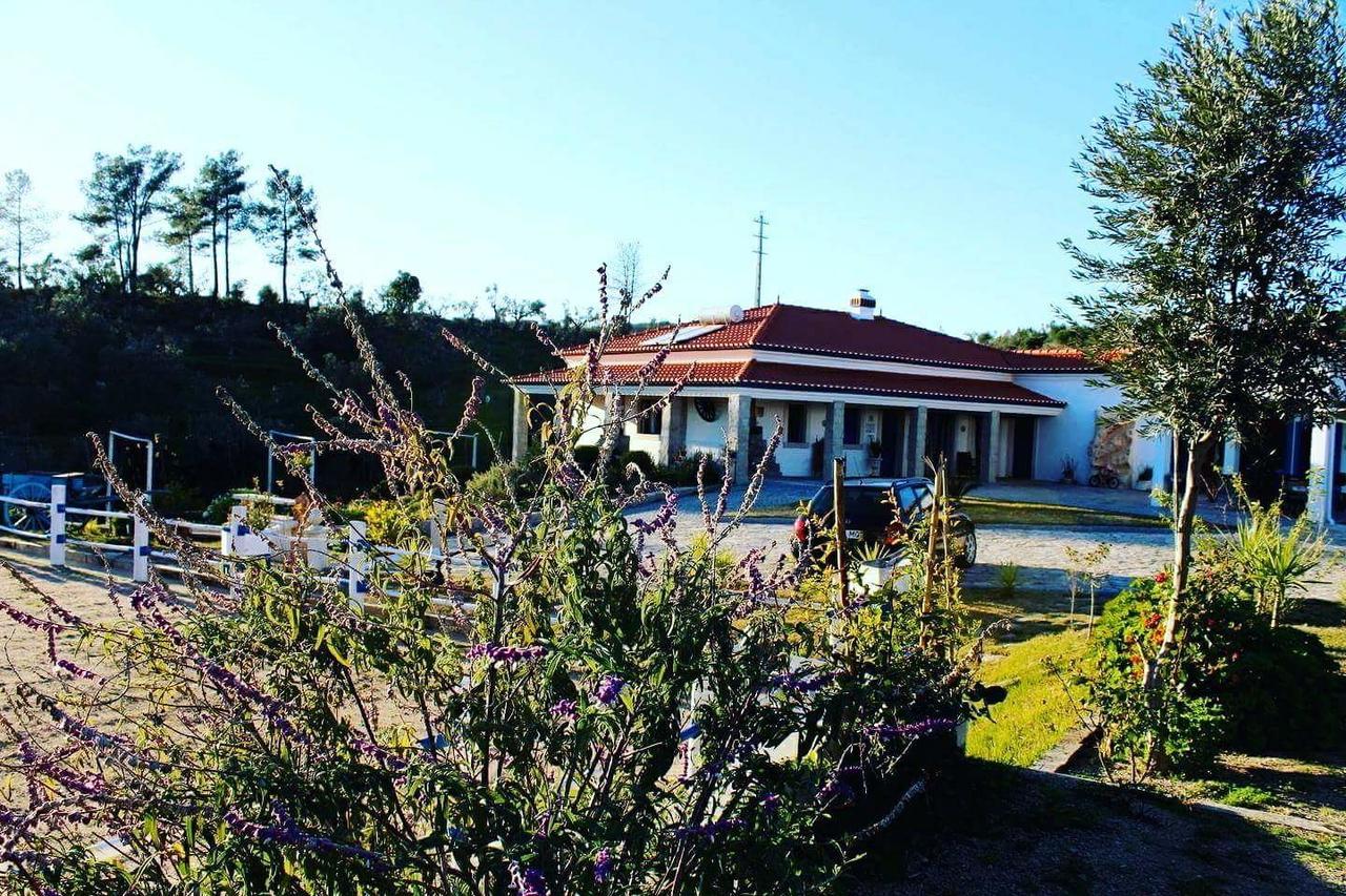 Maison d'hôtes Quinta Ribeiro Tanquinhos à Tancos Extérieur photo