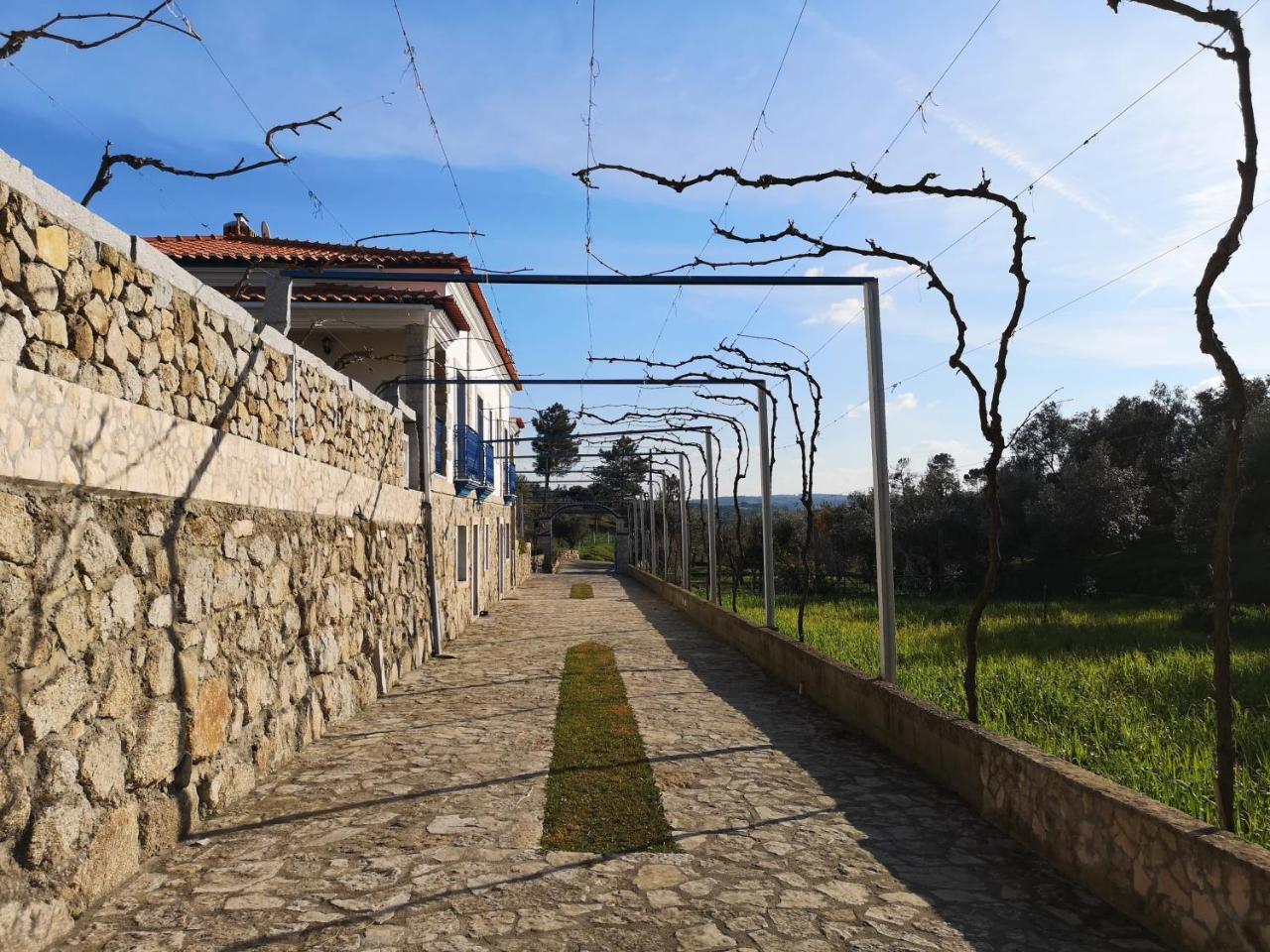 Maison d'hôtes Quinta Ribeiro Tanquinhos à Tancos Extérieur photo